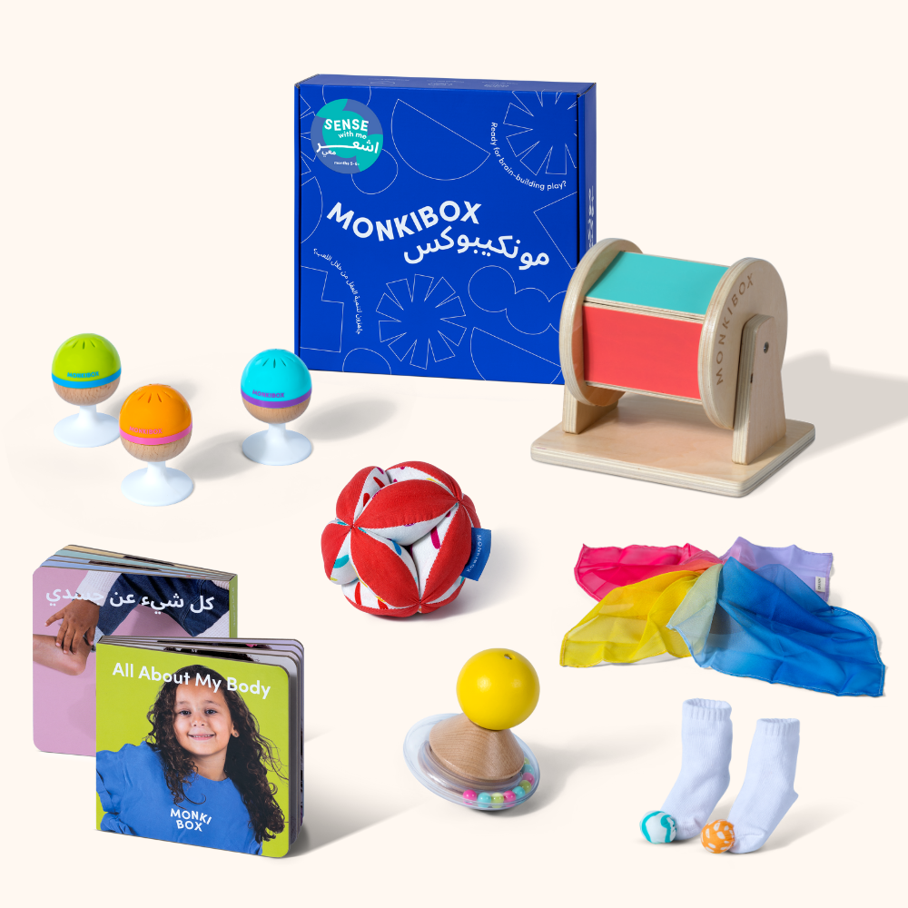 The Play Program (6-Box Prepay) | Early Learning Toys