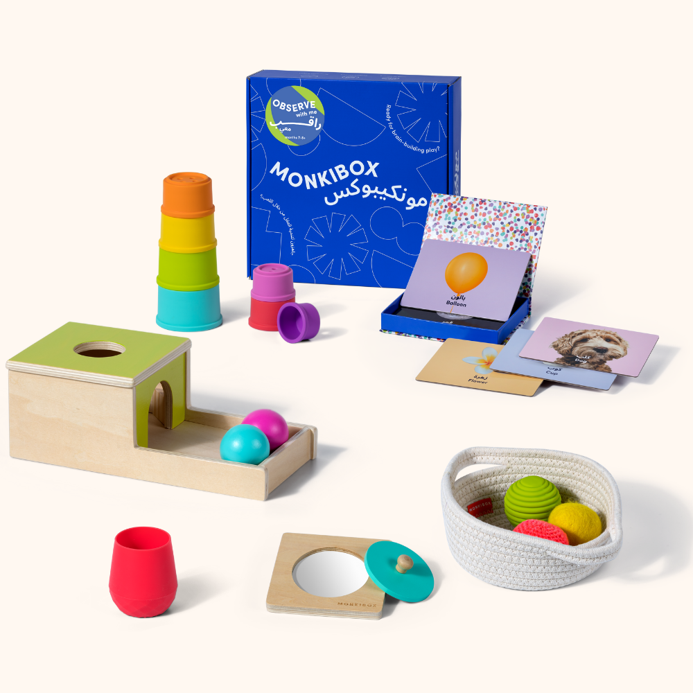 The Play Program (6-Box Prepay) | Early Learning Toys