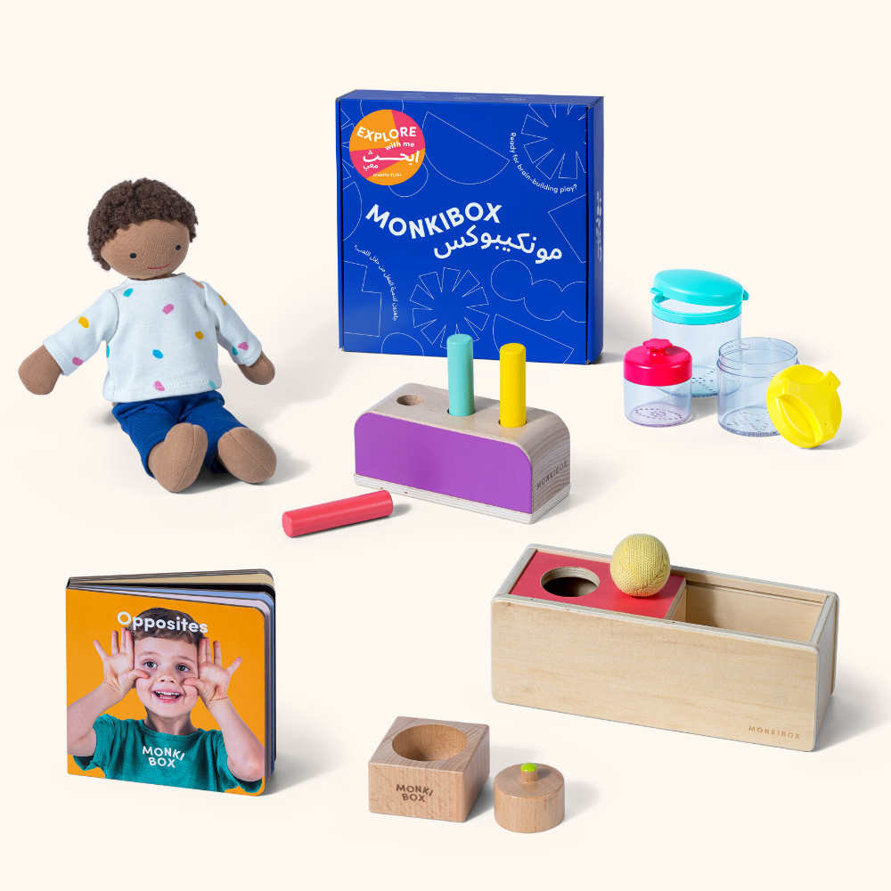 The Play Program (3-Box Prepay)  | Early Learning Toys