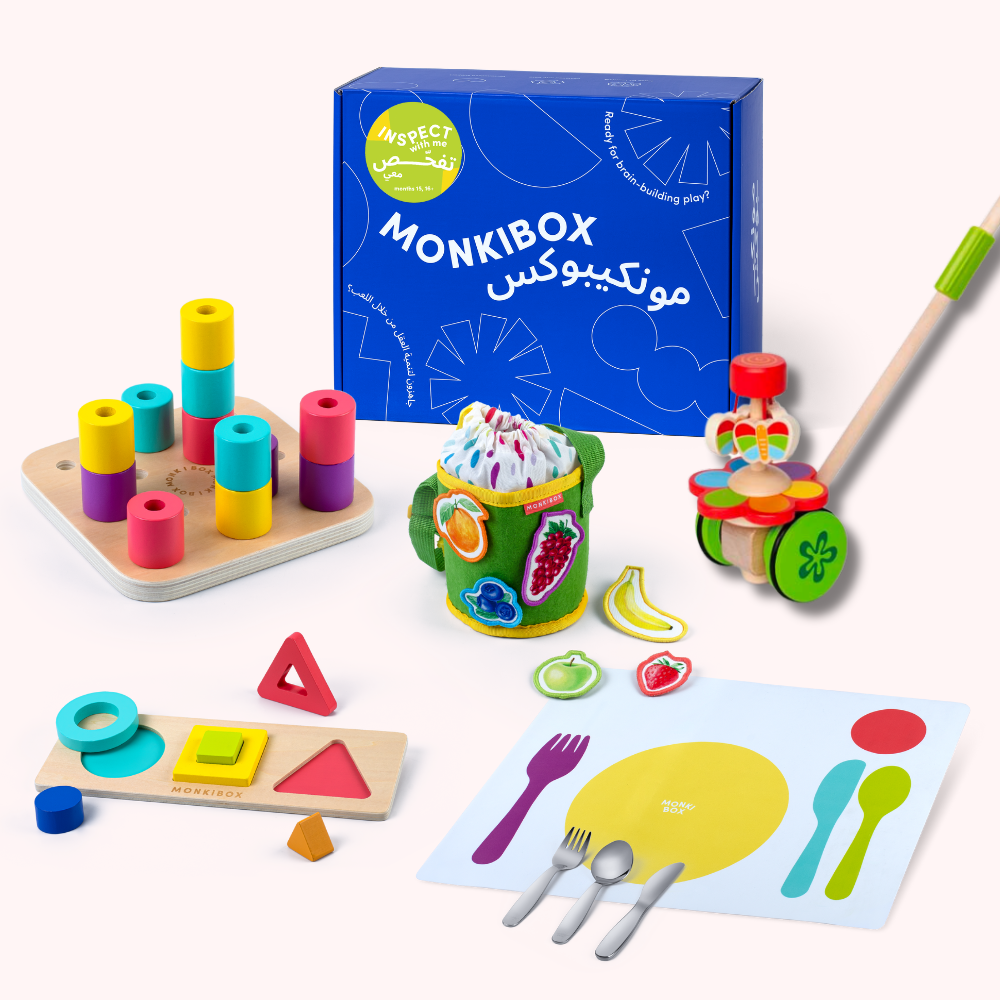 The Play Program (6-Box Prepay) | Early Learning Toys