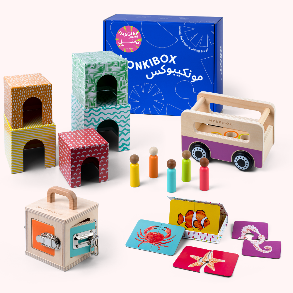 The Play Program (5-Box Prepay)  | Early Learning Toys