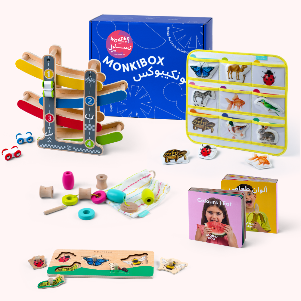 The Play Program (5-Box Prepay)  | Early Learning Toys