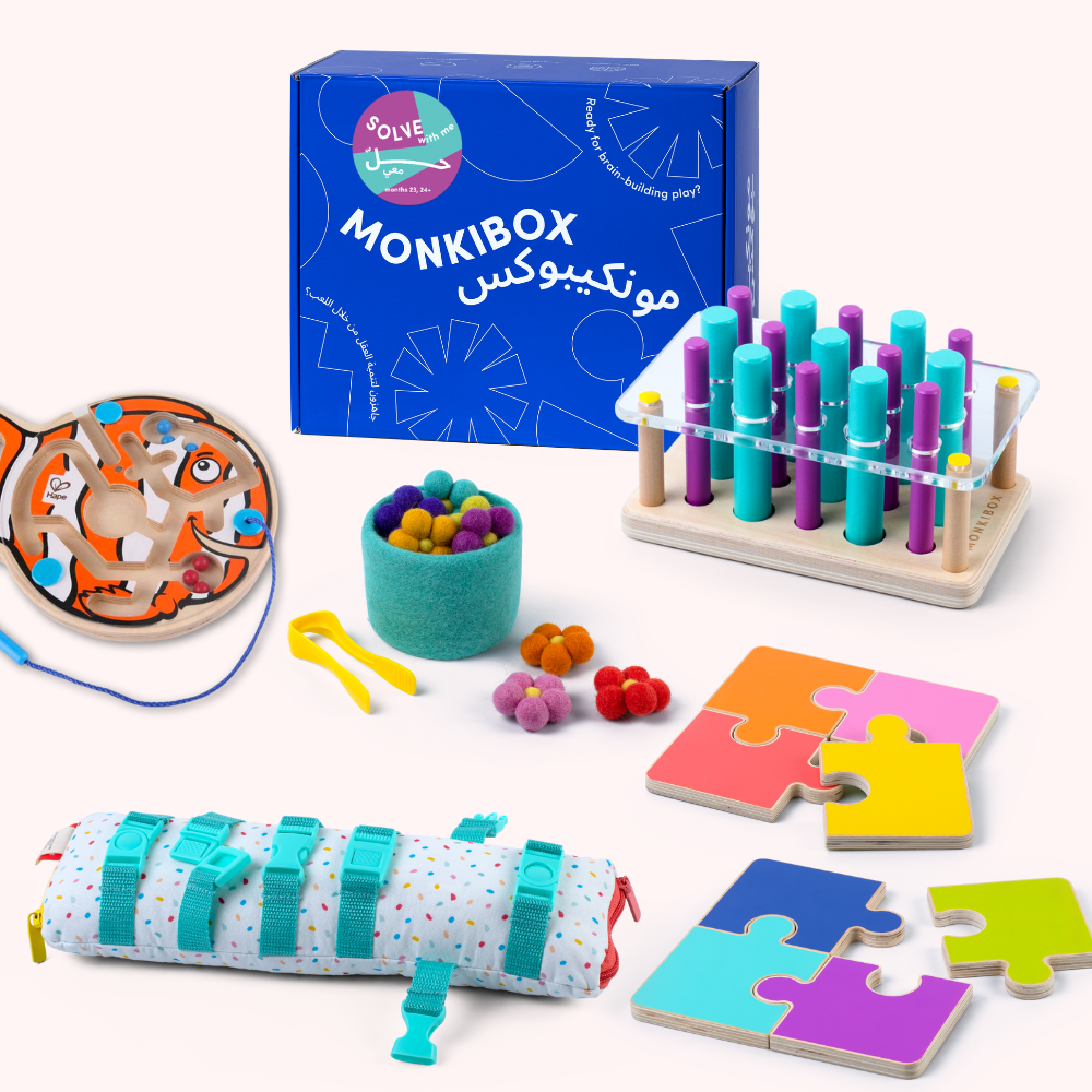 The Play Program (6-Box Prepay) | Early Learning Toys